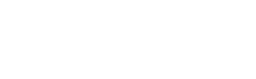 Intrepid Software Solutions Aras Certified Partner